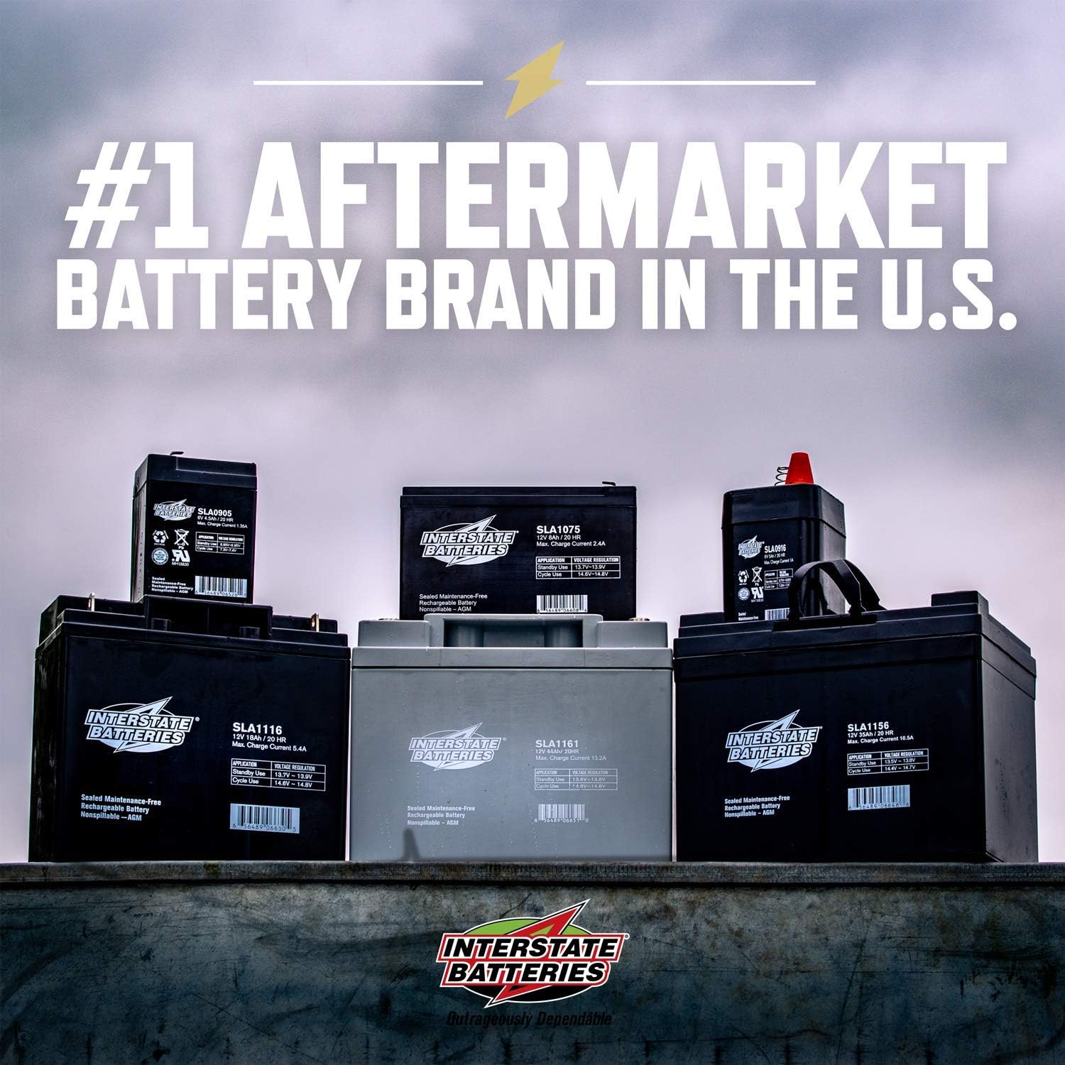Interstate Batteries 6V 4.5Ah Rechargeable Battery (SLA0905) Sealed Lead Acid Rechargeable SLA AGM (F1 Terminal) Blood Pressure Monitor, Oxygen & Pulse Meter, Medical Device, Deer Feeder : Electronics