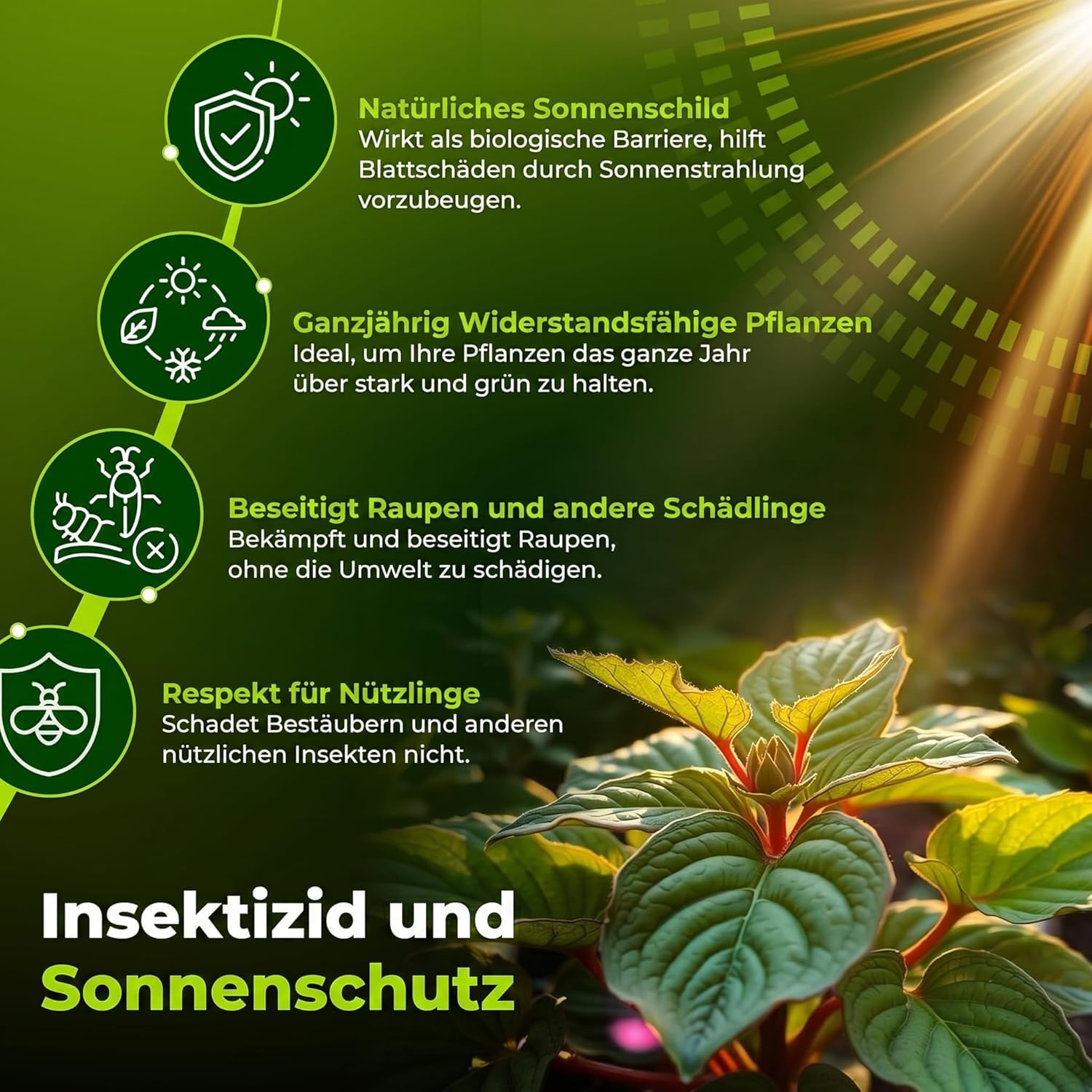 Trabe Bacillus Thuringiensis 3 Stück, 40 g – Raupenfrei - Zünslerfrei Buchsbaum und Raupen Plantura - Buchsbaumzünsler an Buchsbäumen - Respektiert Tiere, Umwelt und Menschen