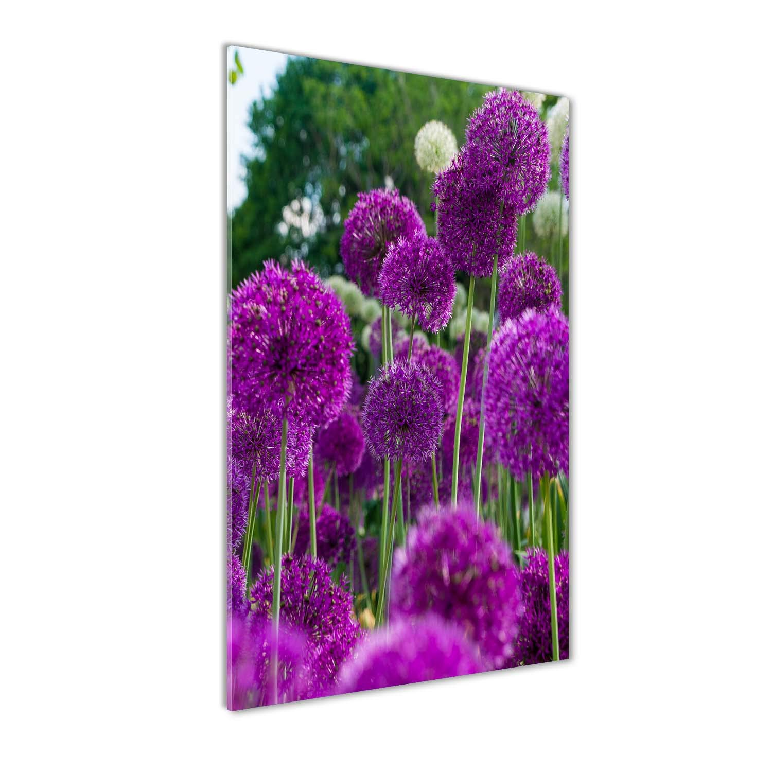 Impression sur verre acrylique haut de gamme Tulup fleurs de 60x120 cm