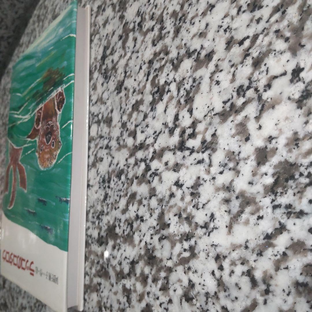 Amazon.co.jp: ラッコのコタロウ岡野 薫子理論社カバー有り 単行本