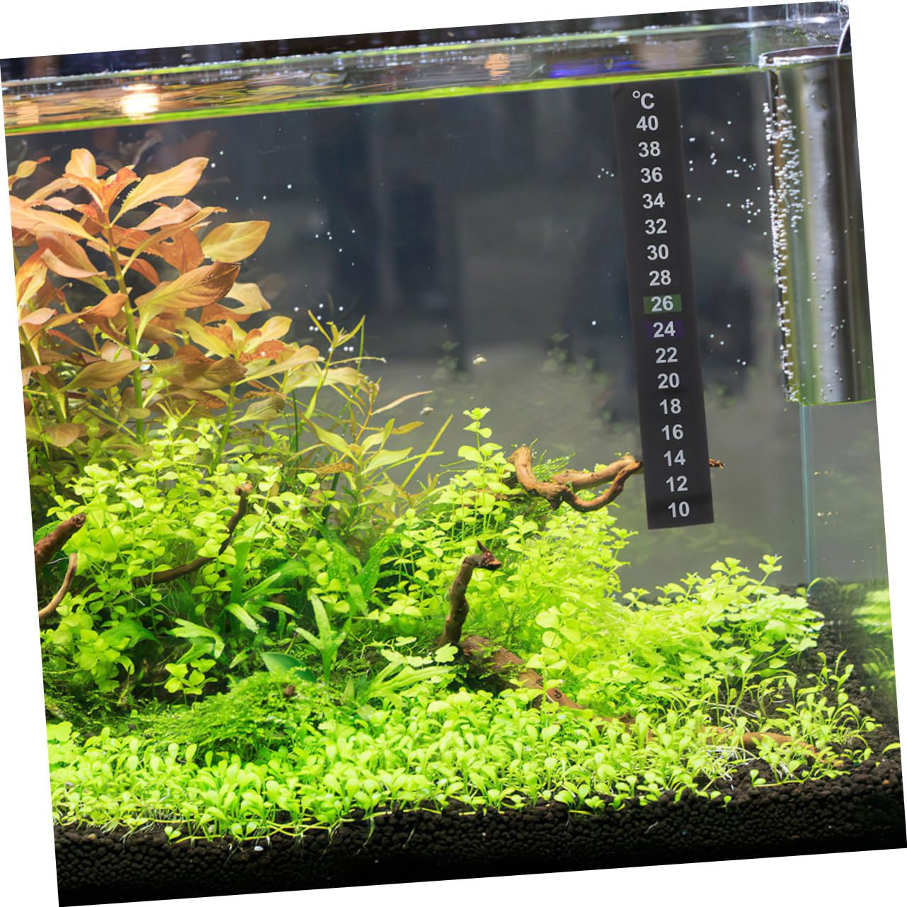 12 pièces Autocollants Thermomètre pour Aquarium Thermomètre Digital à Coller Aquarium Poissons Température pour Eau Fish Tank