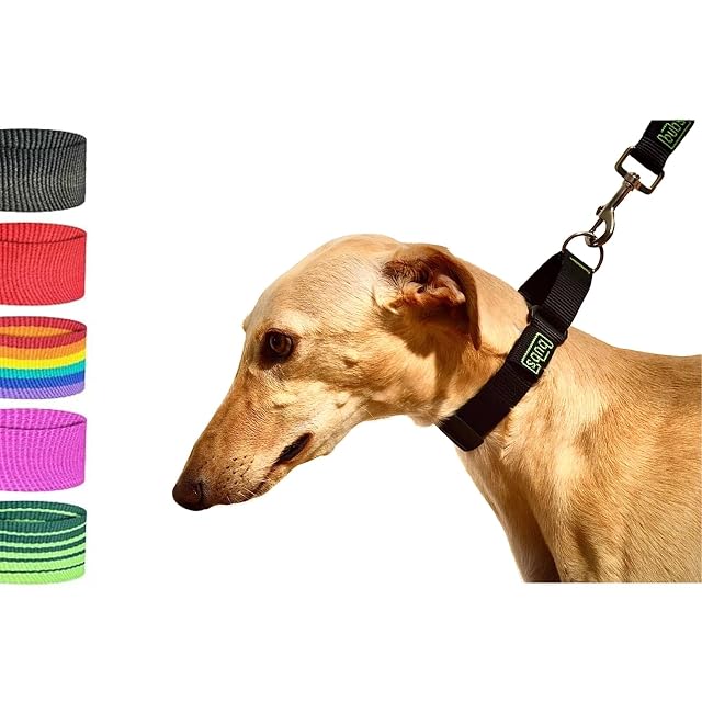 bub's Collar Martingale - Collar para Perro, antialérgico y Suave.Diseñado para Todo Tipo de Razas de Perro…
