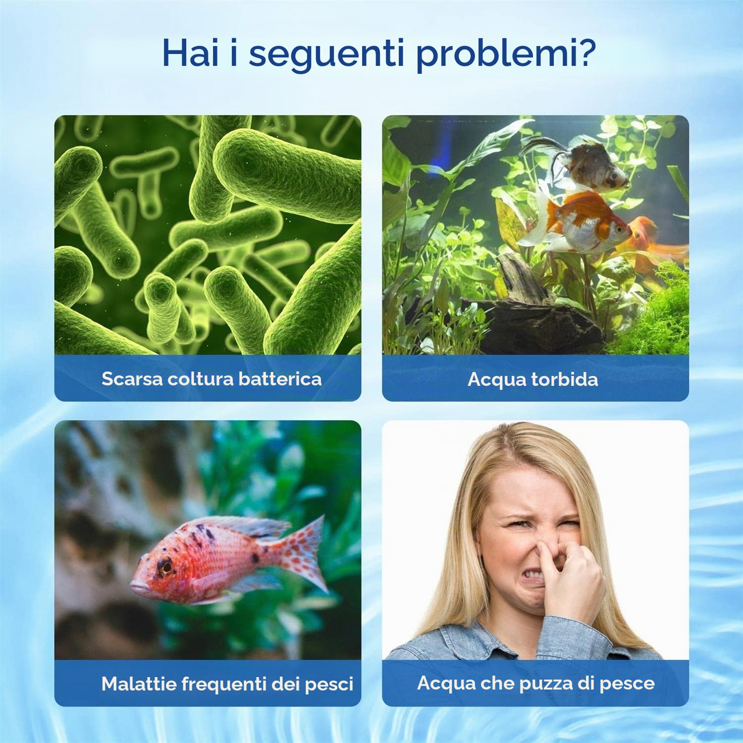 Nobleza Anelli Filtranti in Ceramica Filtro Biologico per Acquari 1000g