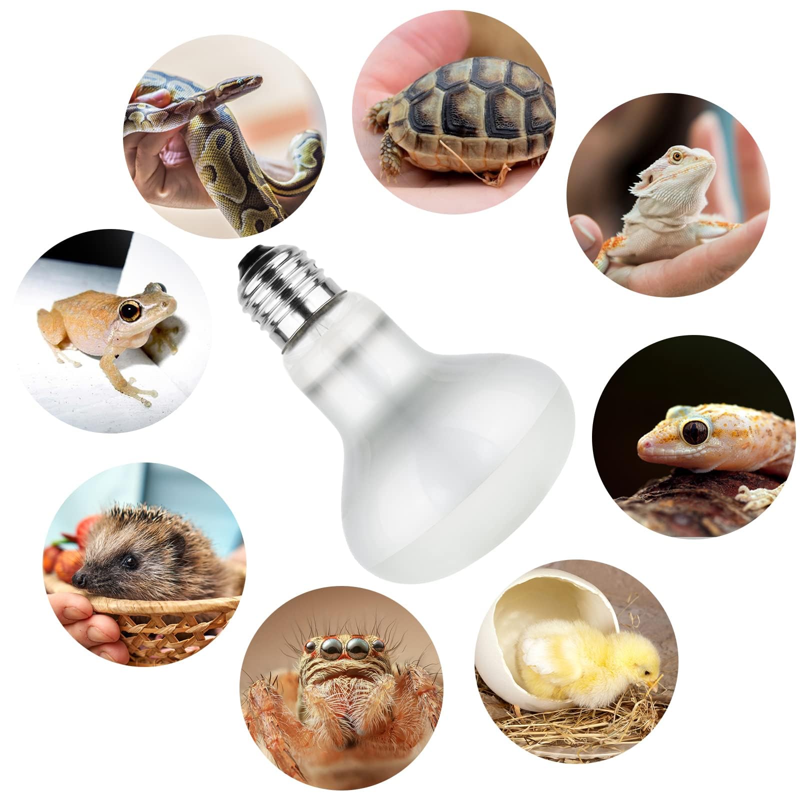 2 szt. Lampa grzewcza UVA do wspinaczki dla zwierząt domowych - 50 W-220 V