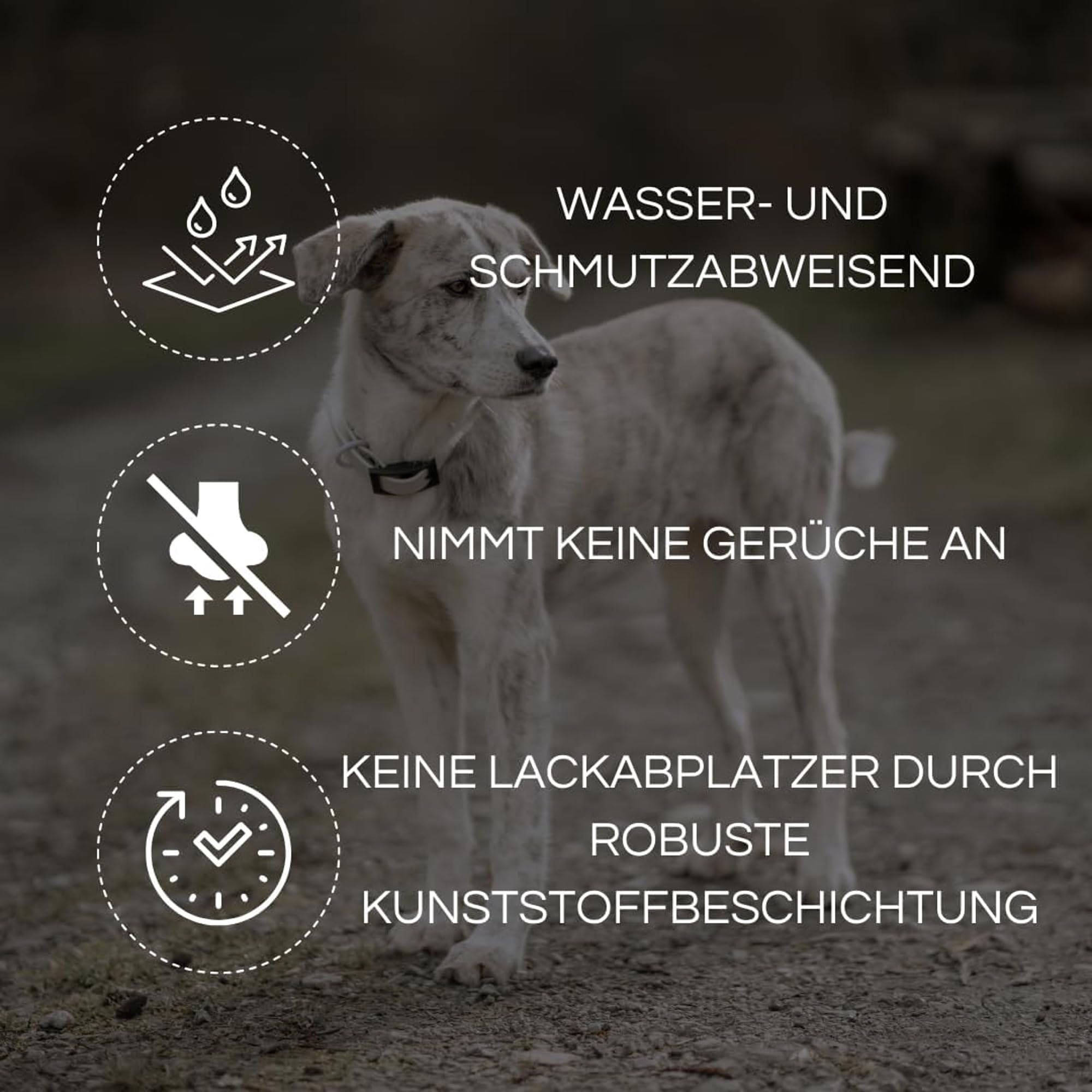 Hundehalsband Aus Biothane Gold – Wasserdicht, 25 Mm Breit, 60 Cm Lang, Mit US-Flagge, Made In France