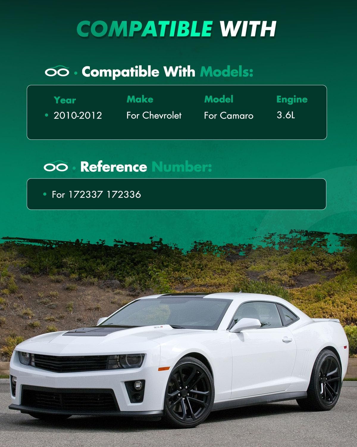 SCITOO Front Complete Struts Assembly Shock Absorber for Chevrolet Camaro 2010-2012 Automotive Replacement Struts 172337 172336 - Set of 2