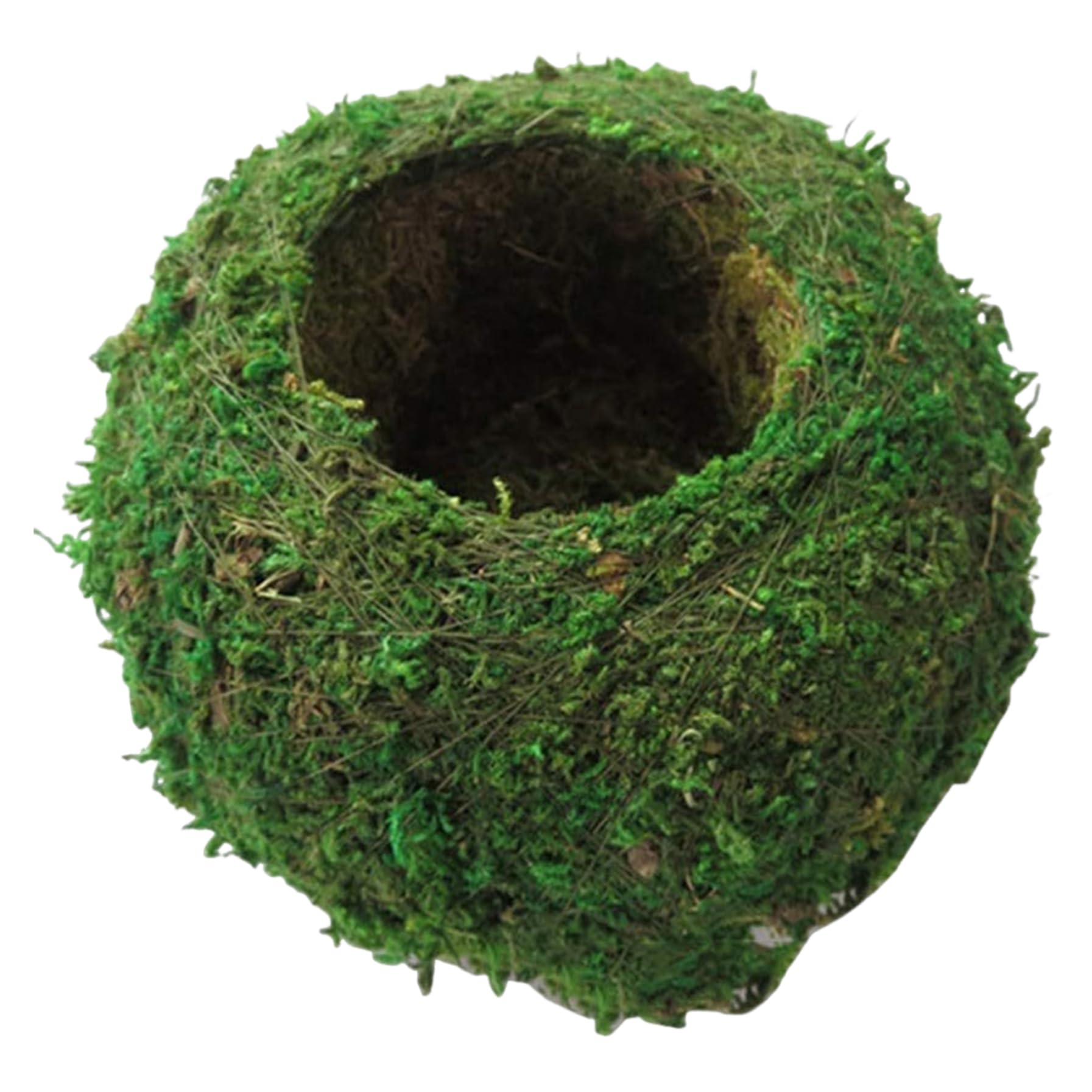 Mousse Kokedama 6 pouces et pot de fleur naturel pour support plante et bonsaï