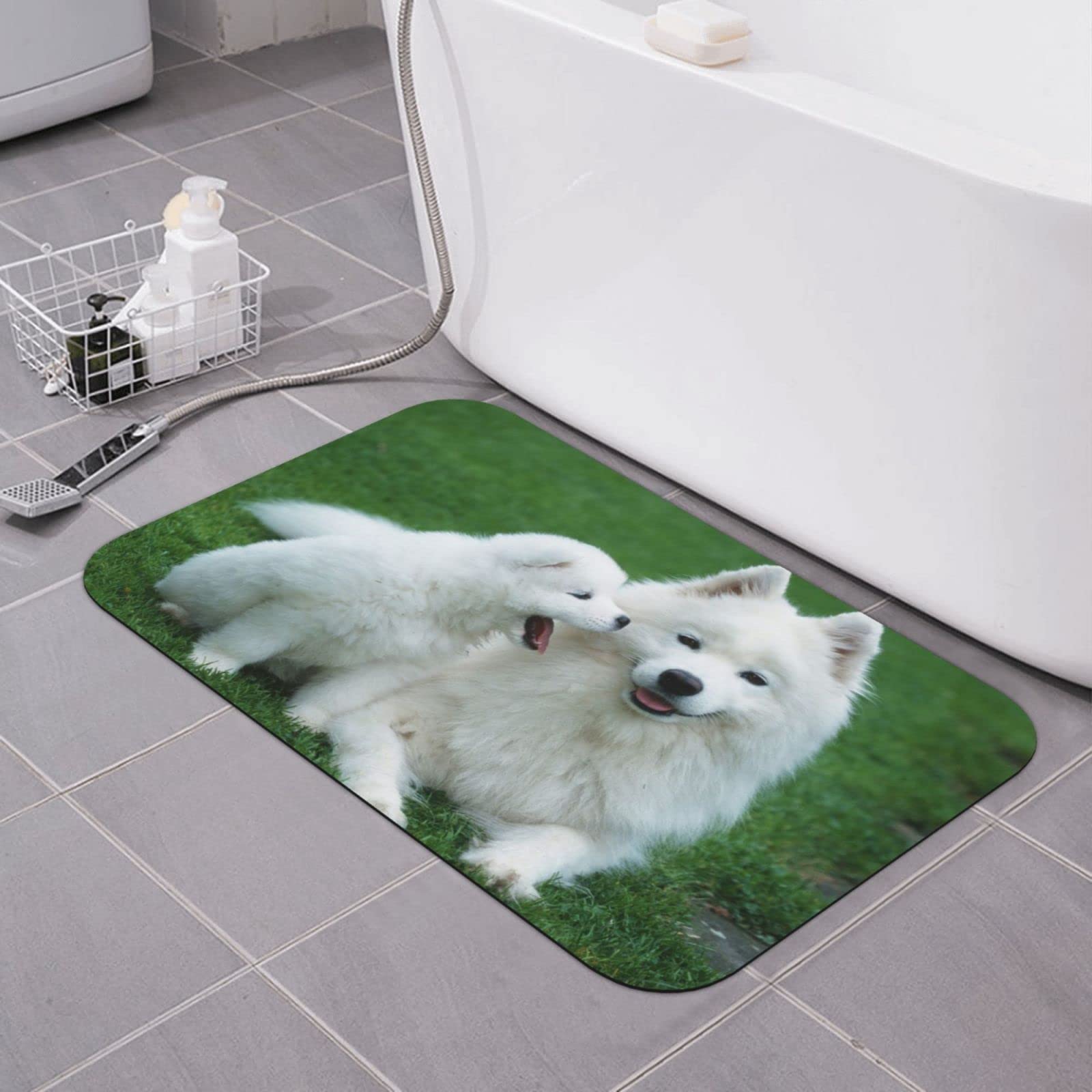 Tapis de salle de bain chiens en terre de diatomée pour sortie de douche