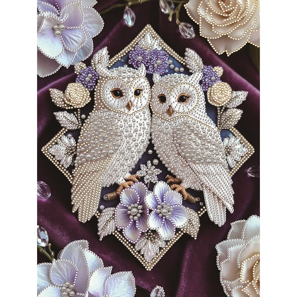 Pearl Twin Owls Special Shaped 5D DIY Partial Drill Diamond Painting Kit Home Art 30x40cm (Owl-1)