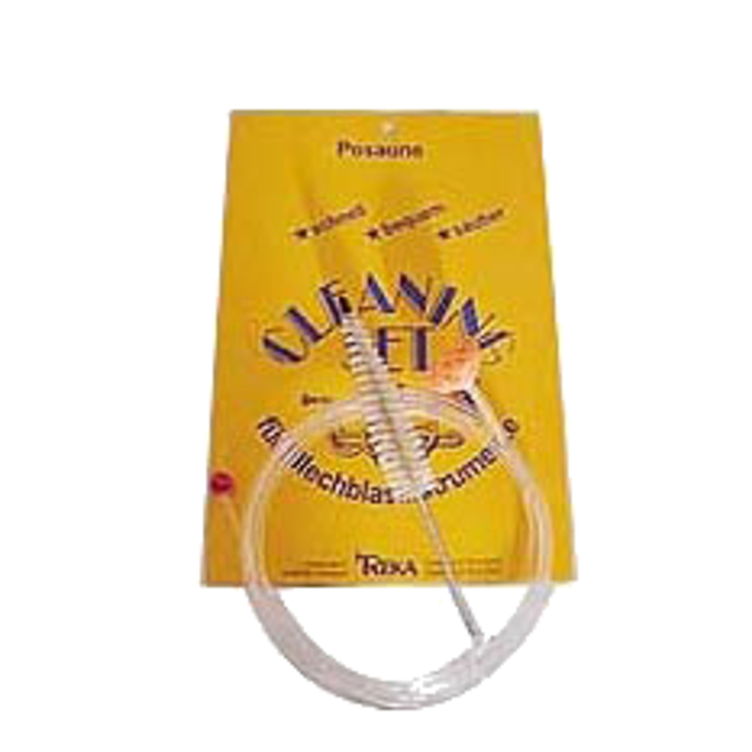 Kit Pulizia Per Tromba E Flicorno | Spazzole E Accessori Per Manutenzione - Foto 5