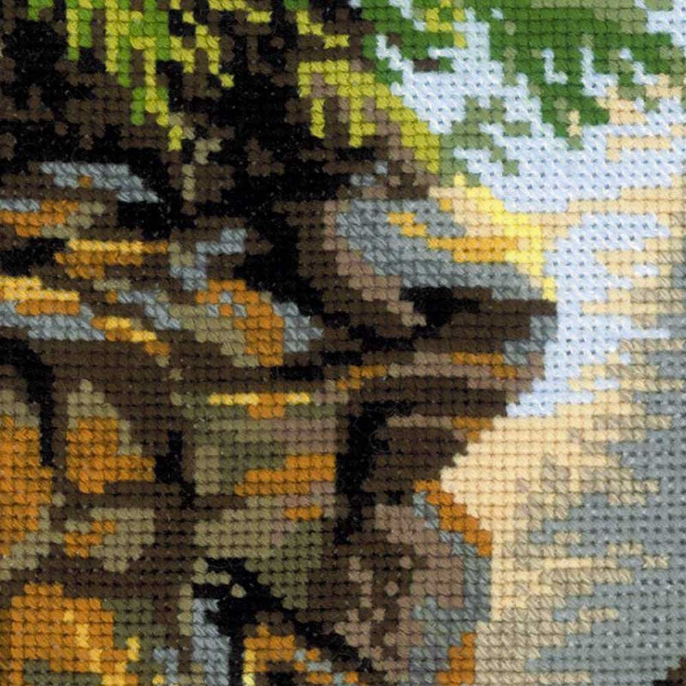 Kit Point De Croix Riolis – Conte Oriental, 40x30cm, Aida 14ct, Niveau Médian