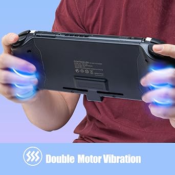 ECHZOVE Ergonomic Controller Grip for Nintendo Switch OLED & Switch, One-Piece Handheld Gamepad with 6-Axis Gyro, Dual Vibration, Mapping Buttons, Play While Charging