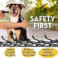 Vista 3 de PetJett Collar de Púas para Perros - Collar de Entrenamiento Ajustable para Perros Collar de Ahogo para Perros Collar de Pellizco para Perro