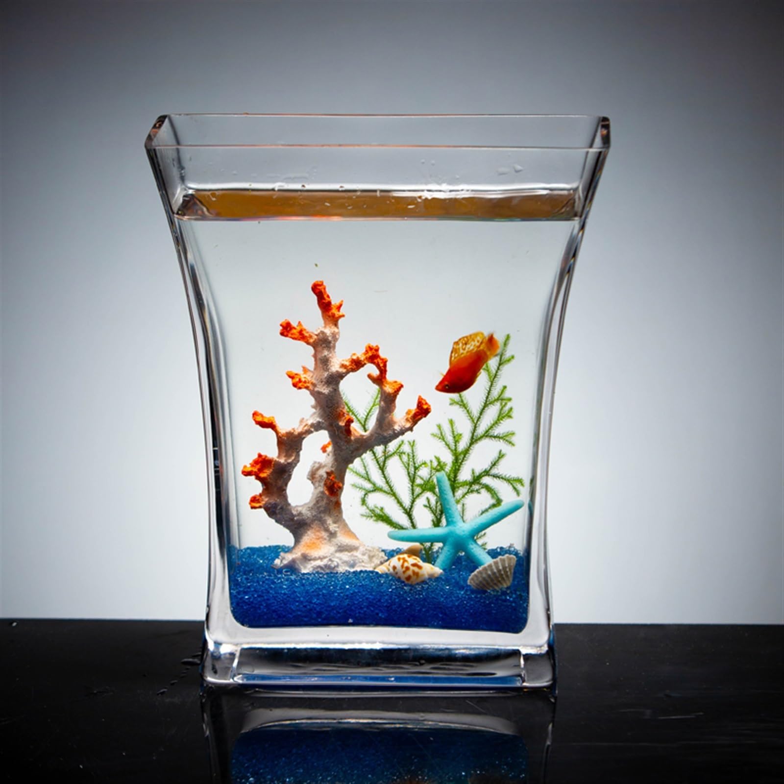 Acquario per Pesci Creativo Acquario in Vetro Trasparente Acquario Ascia Desktop Piccolo Acquario Acquario for Pesci Rossi Ufficio Soggiorno Ornamenti Acquari