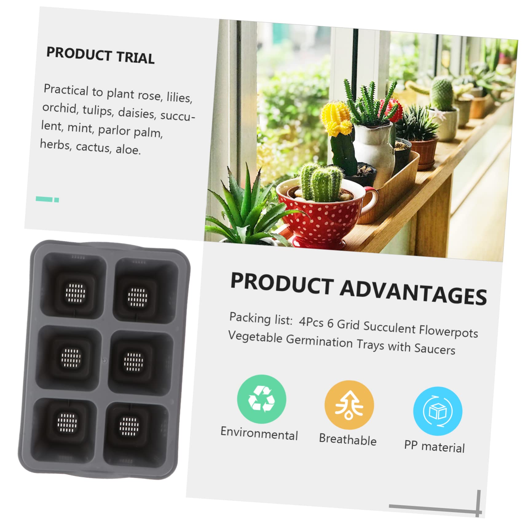 TOYANDONA 2 Series Recipiente De Vivero De 6 Rejillas para Suculentas Ideal para Cultivar Semillas De Hortalizas Germinar Plantas De Jardín Macetas para Suculentas Y 4 Piezas