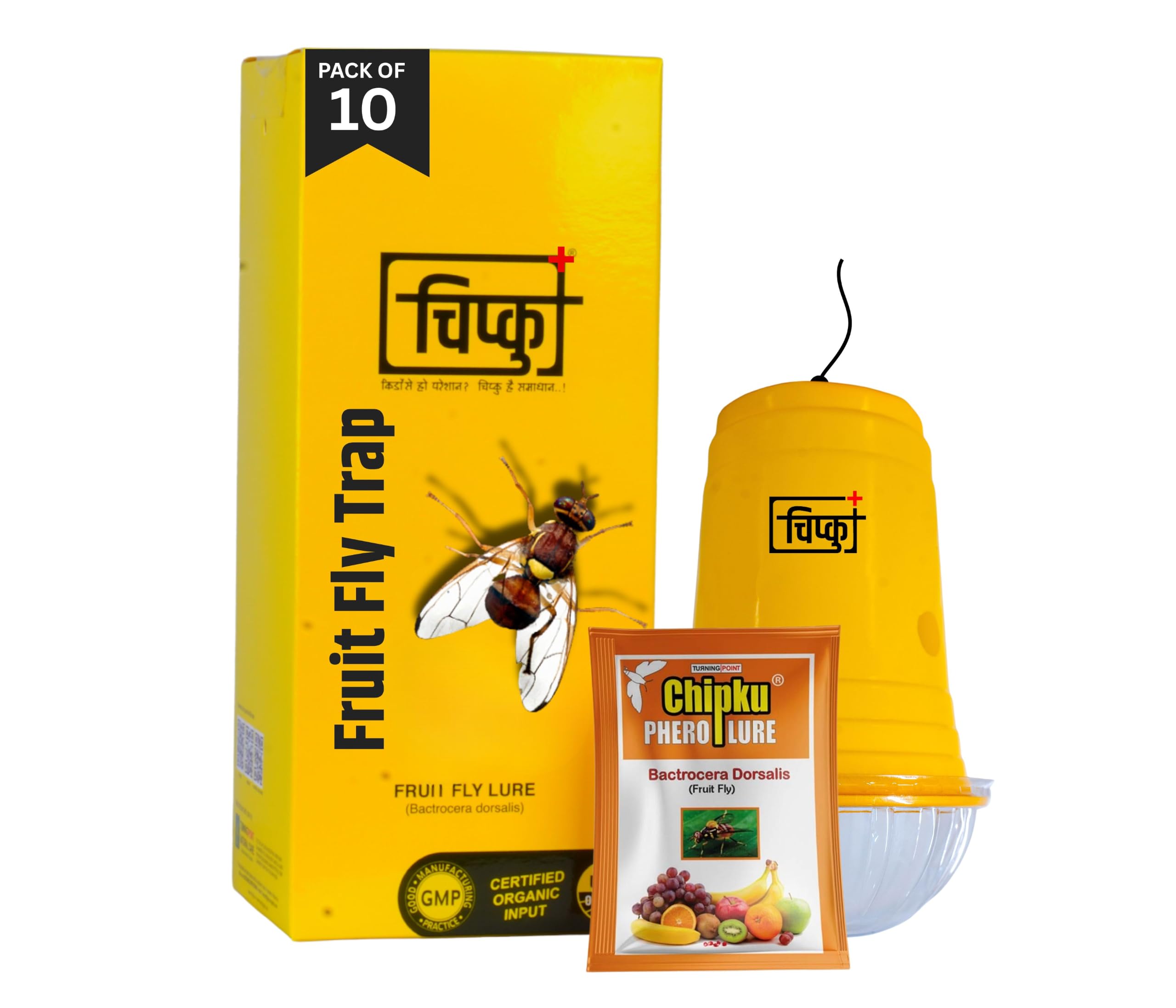 Chipku Fly Magnet Trap Useful in Mango, Papaya, Sapota, Guava, Pomegranate, Sweet Fruit (10 Trap with 10 Fruit Fly Lure) - Pack of 10-picture-19