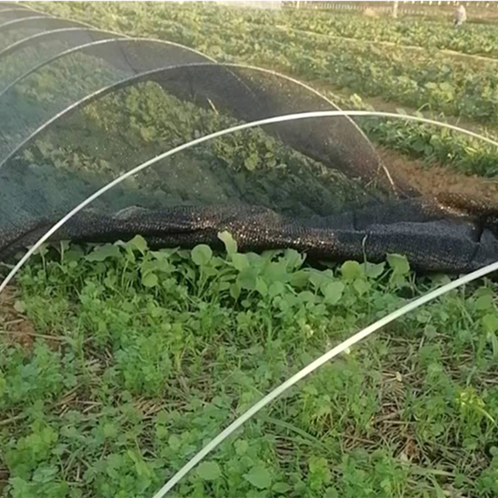 Aros De Invernadero, Túnel De Cultivo túnel de Crecimiento para Plantas Marco De Invernadero para Jardín, Granja, Patios(6mmX3m(9.8ft),10pcs)