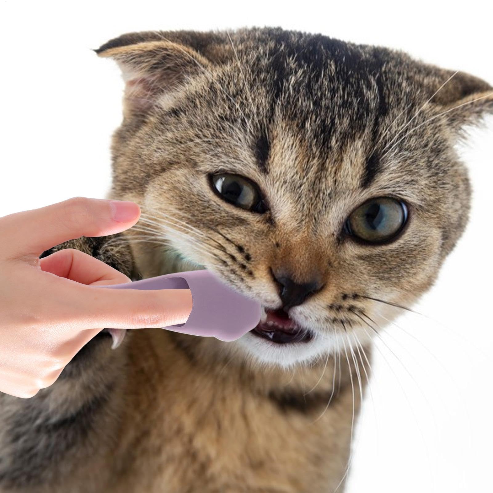 Spazzolino Da Denti Per Per Gatto, Pennello Per I Denti Dei Cani,Strumento Di Cura Orale Per Cucciolo - Spazzuccio Da Denti Dita A Setole Morbide Per La Pulizia Dei Denti Da Compagnia E La Cura O