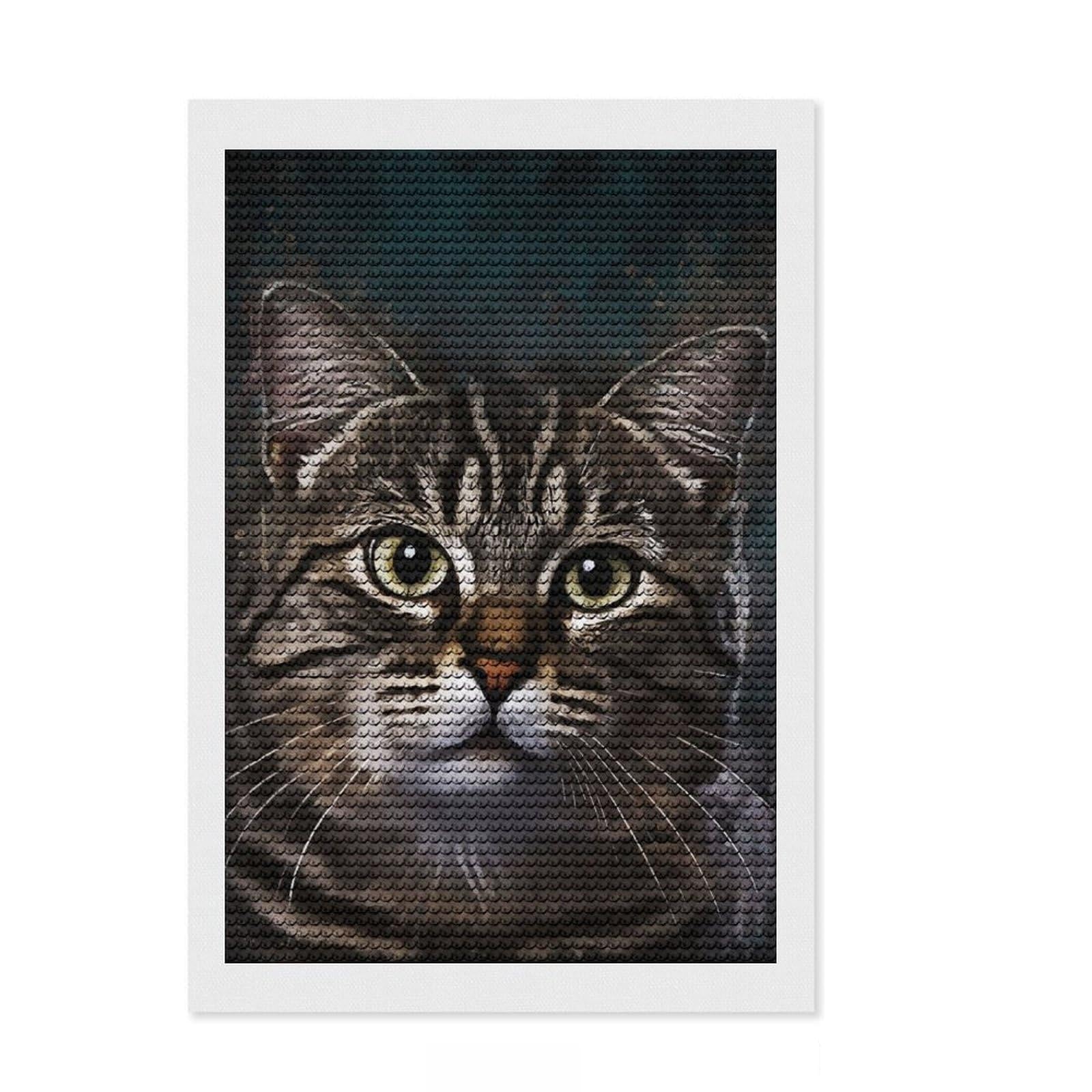 Junmoney Splatter Cat Round Drill Diamond Painting 8"x12", with Tool Kit, Easy to Follow Symbols, Farmhouse Decor, for Craft Lovers