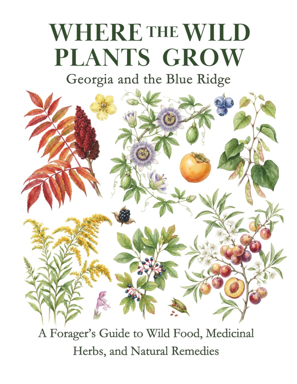 Georgia and the Blue Ridge: A Forager’s Guide to Wild Food, Medicinal Herbs, and Natural Remedies (Where the Wild Plants Grow: Illustrated Foraging Guides)      Paperback – March 28, 2026