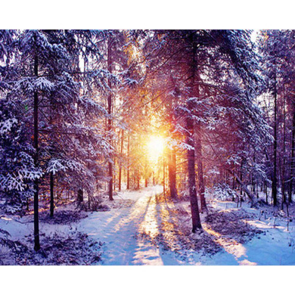 Kit broderie diamant 5D forêt de neige pour décorer votre salon