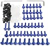 JenNiFer Motorcycle Fairing Bolts Kit Fastener Clips Screw For Yamaha YZF R6 1999 2000 2001 2002 - Blue