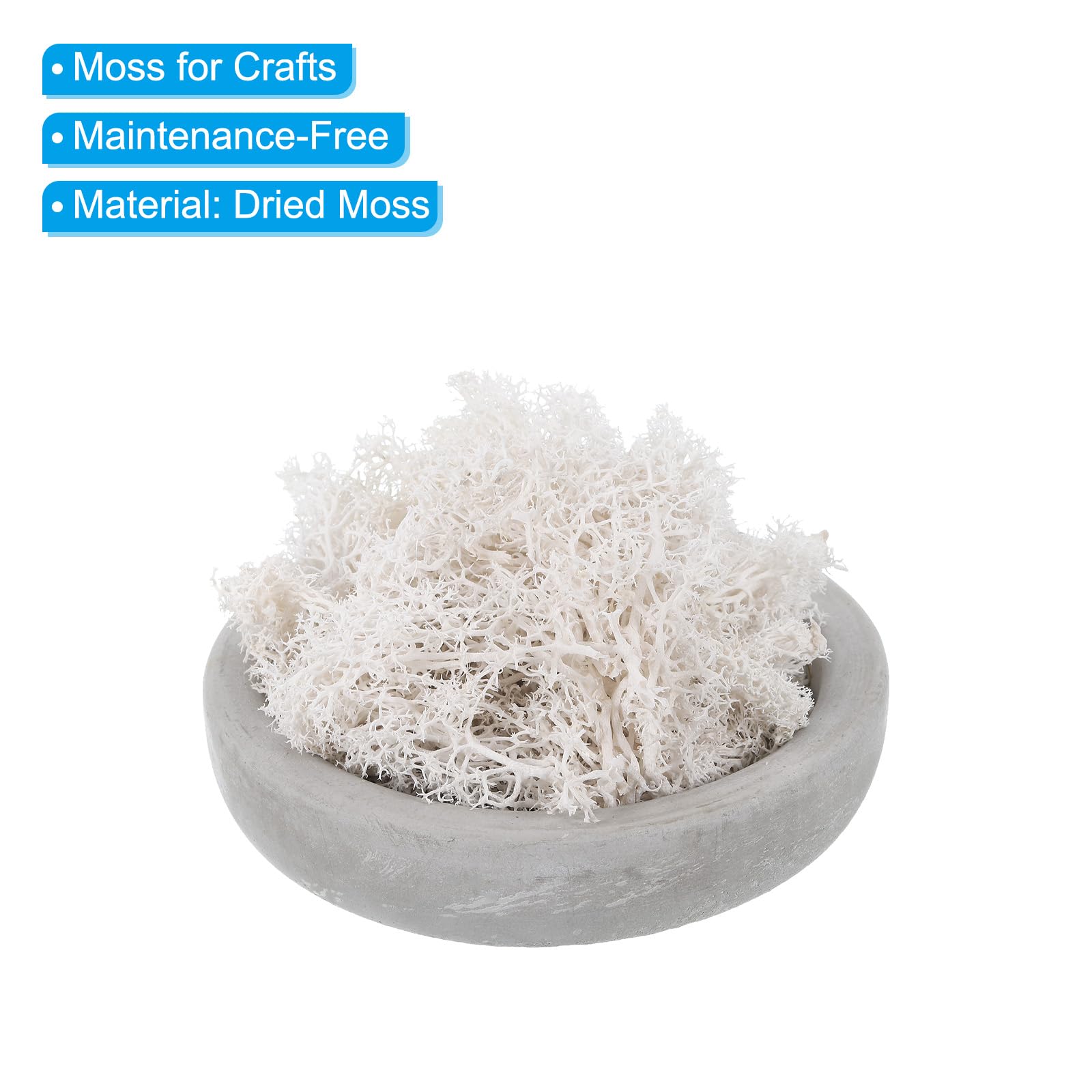 PATIKIL Muschio Artificiale Conservato Bianco – 50g Di Lichene Finto Per Decorazioni, Centrotavola E Artigianato