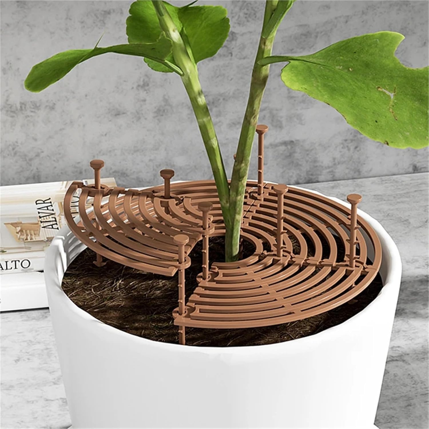 Plant Pot Cover 5PC Plant Pot Soil Guard with Nails Grid Cover Baby Safety Mouse Garden Home Protector Repel Cats for Outdoor Garden(Brown Round 19cm)