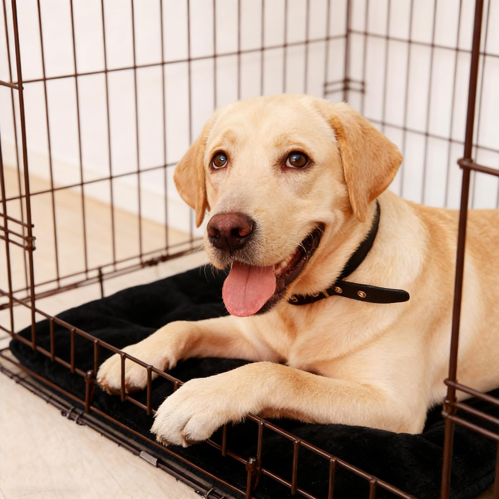 Duty Chew Tapis de cage pour chien - Coutures renforcées - Lavable en machine - Noir - Imperméable