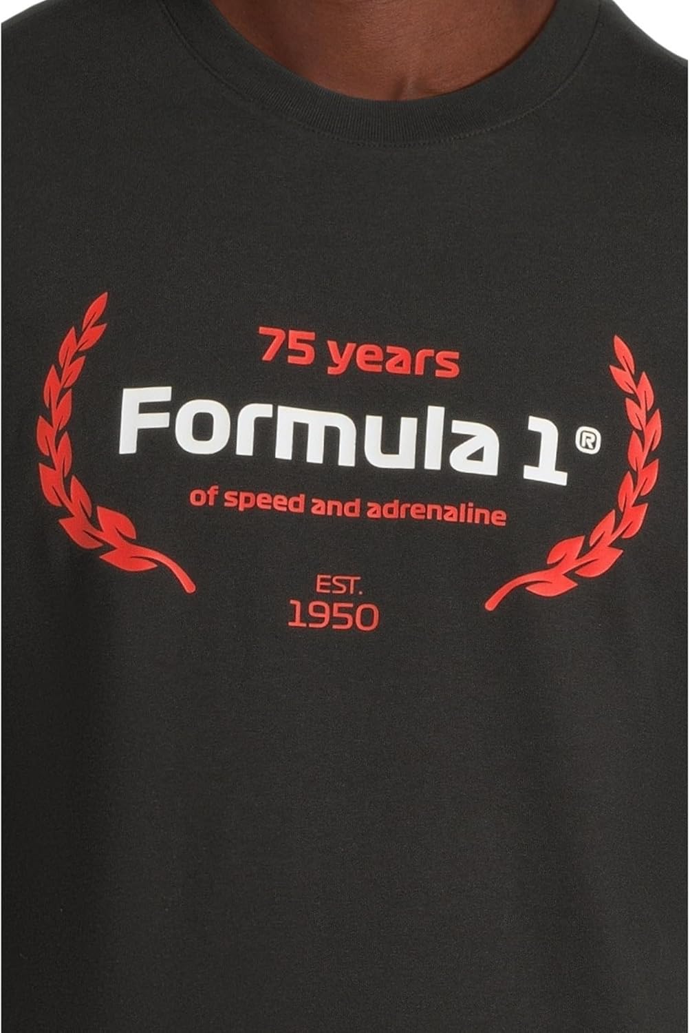 PUMA Mens Formula 1 Mexico City Tee Casual Tops Casual - Black - Image 5