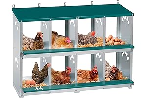 8-Compartment Nesting Box: The Solution for Happy and Productive Chickens