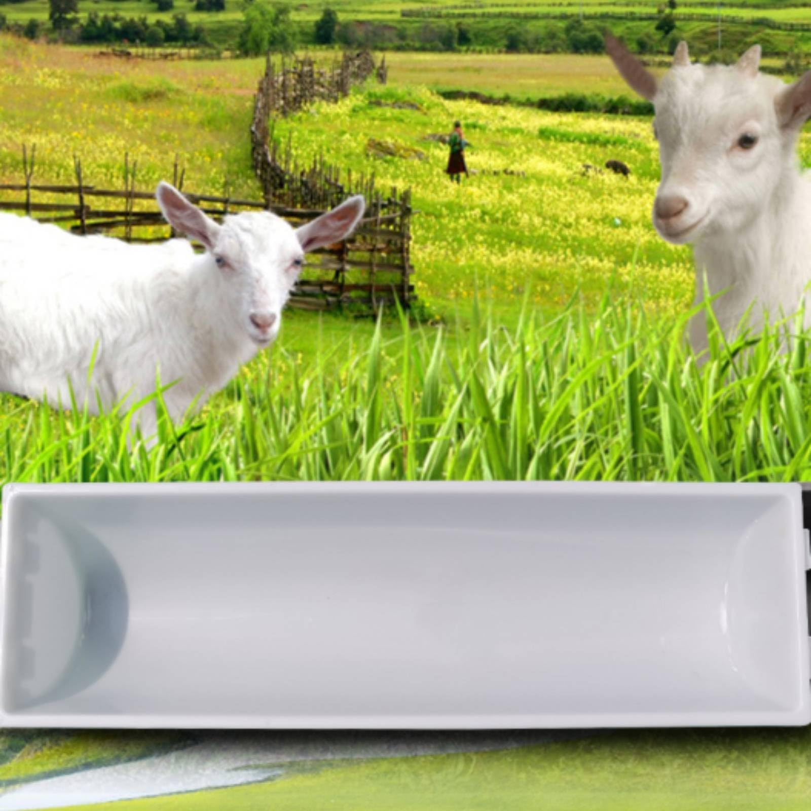 Gralara Vasca di Alimentazione in Plastica Mangiatoia Facile da Pulire Abbeveratoio per Agricoltori, Fattoria, Array, Nero, Versione Normale