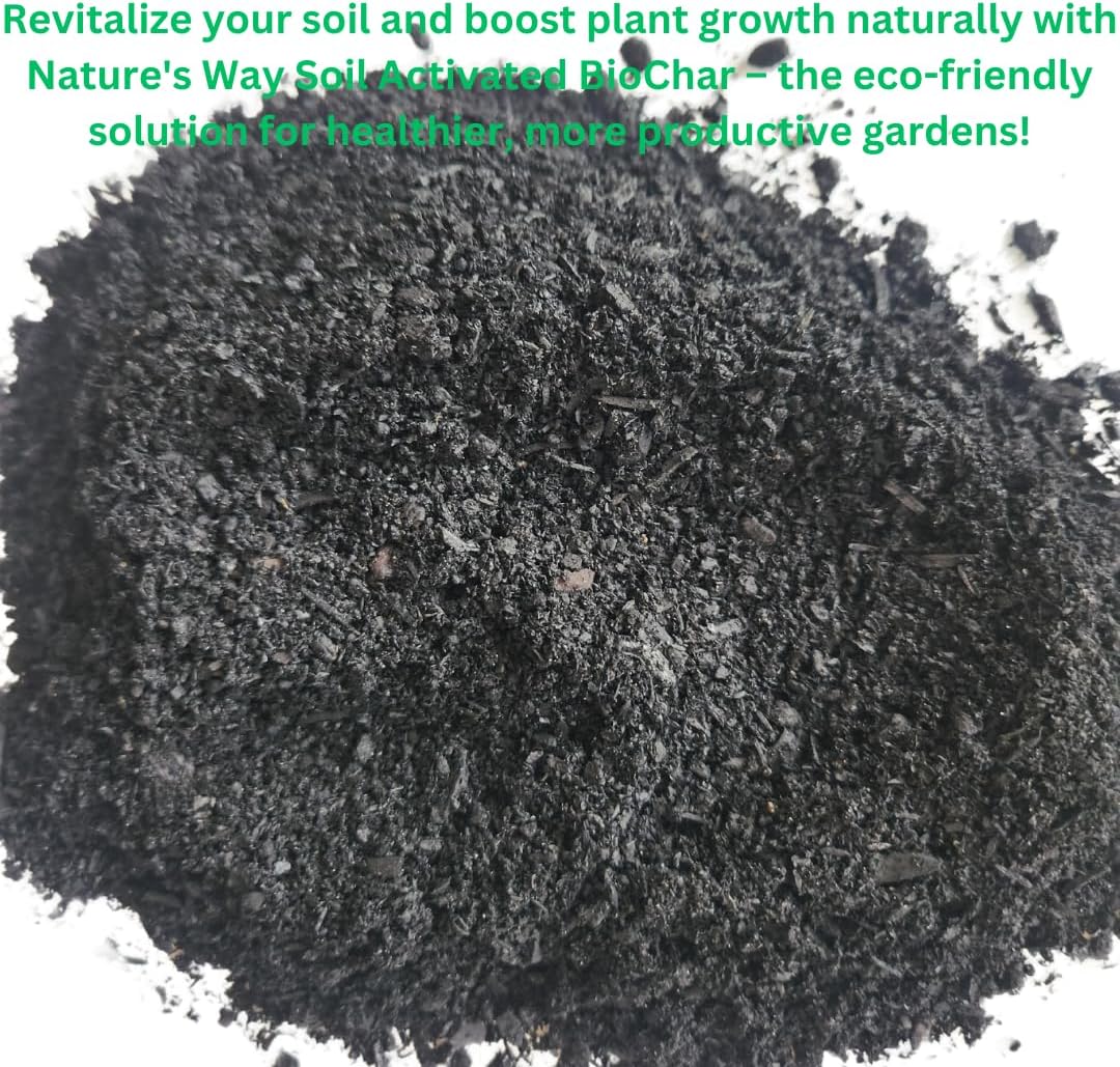 Generic Horlticural Activated Charcoal for Plants, 4 Quarts, Indoor and Outdoor, Charcoal for Terrariums, Conditioning for Bonsai Soil and Catus Soil, Black, NWS-4q-ABC