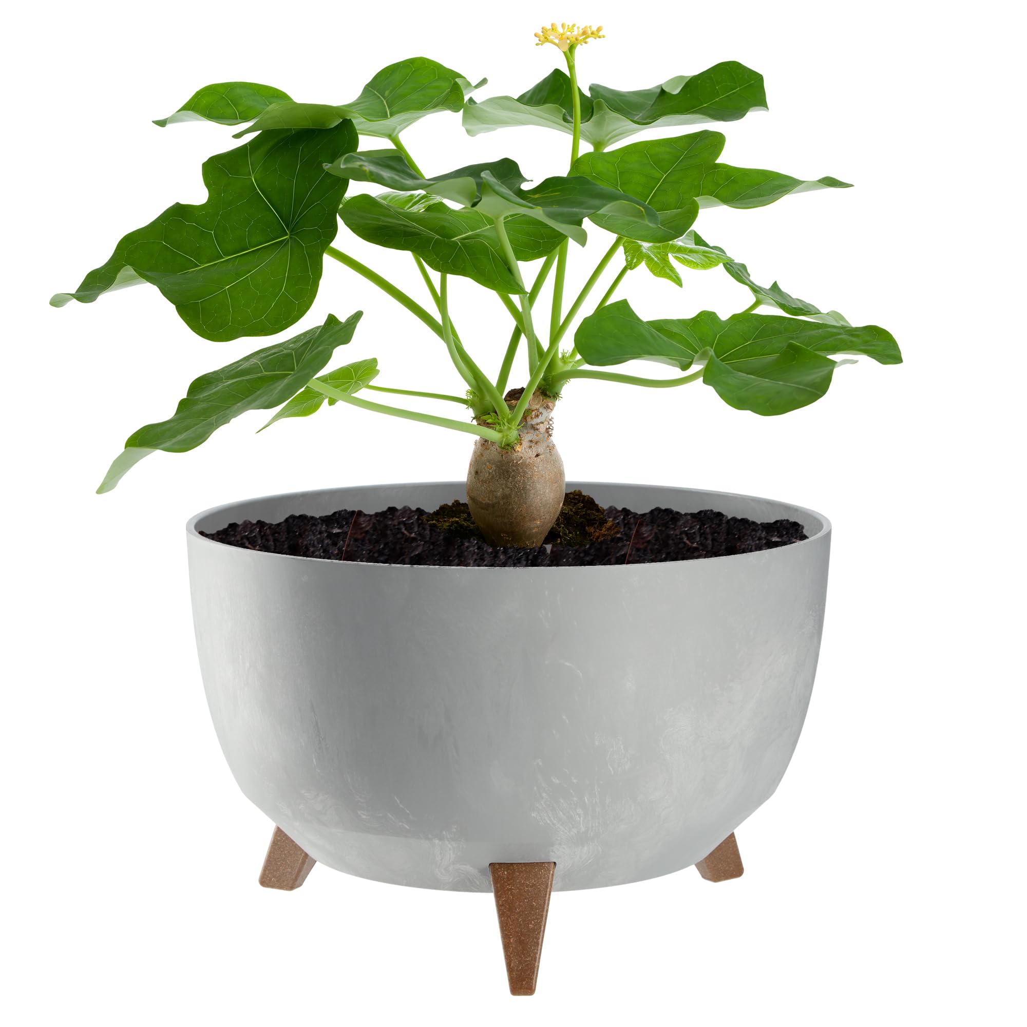 KADAX Plastic Flower Pot with Three Stands, Round Flower Bowl, Flower Pot, Flower Pot, Flower Pot, Balcony, Living Room (39.5 cm, Anthracite) — view 17