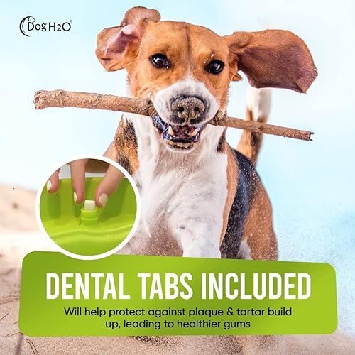 Miniatura 7 de Dog H20 - Fuente de agua grande para perros de 6 litros, fuente de agua filtrada automática para perros, dispensador de agua elevado para mascotas