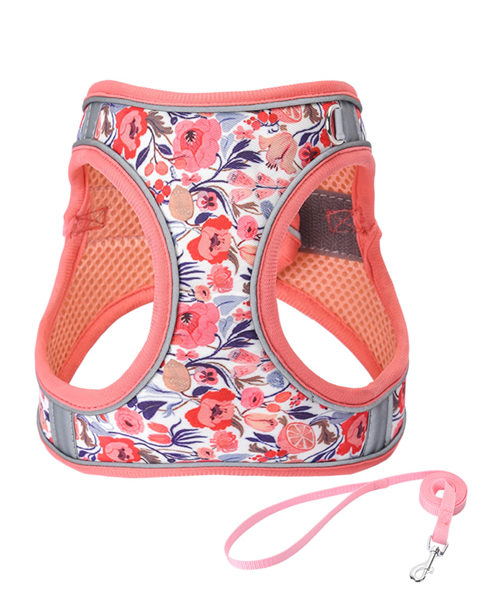 JUFOO XXS Peach Flower Pattern Dog Harness and Leash Set,No Escape Puppy Harnesses for Training Walking，Breathable Adjustable Puppy Vest for Small
