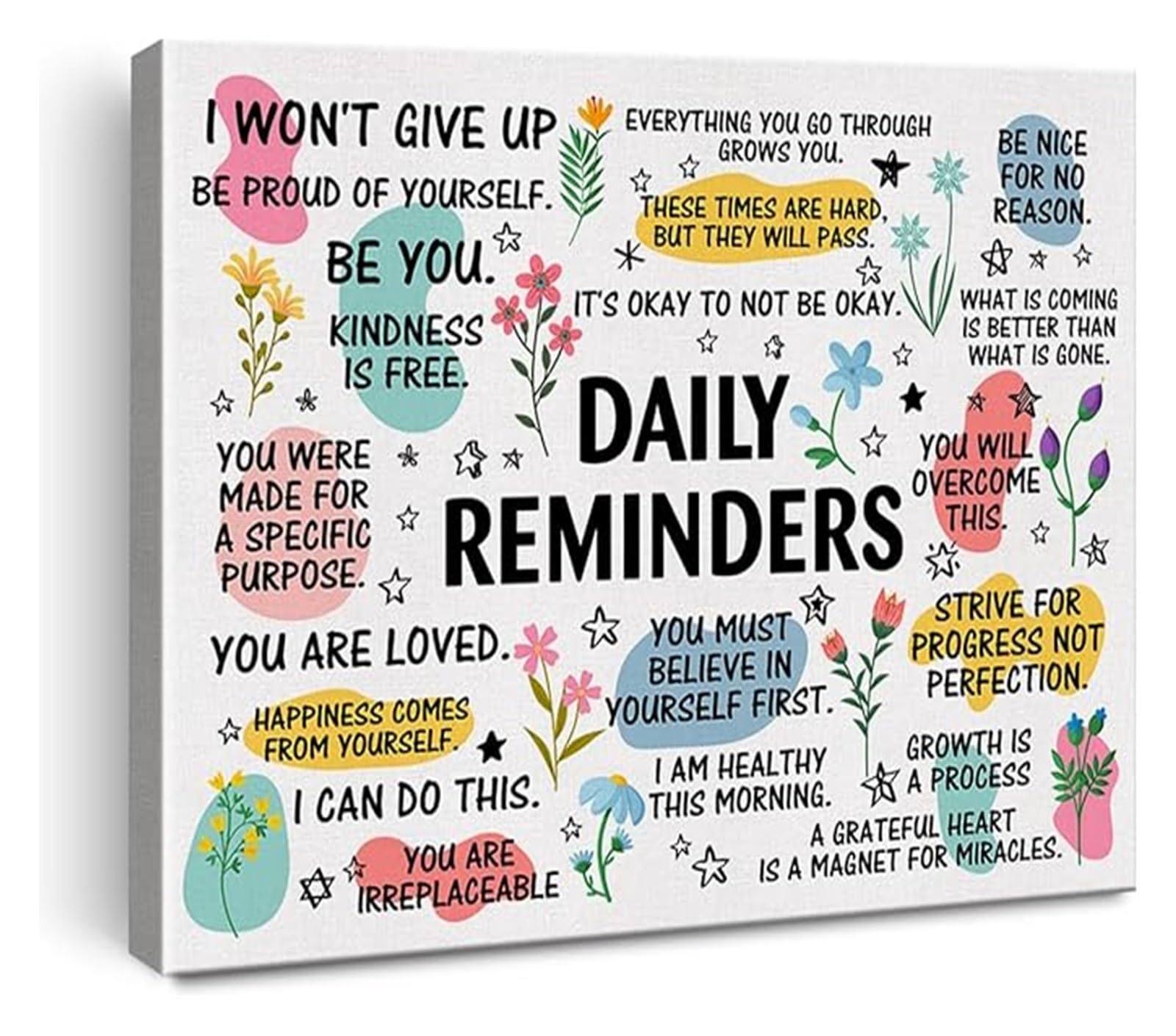 Inspirational Daily Reminders Poster Affirmation Canvas Wall-Art for Office Home Decor Encouragement Gift Ready to Hang(Framed,12x18inch(30x45cm))