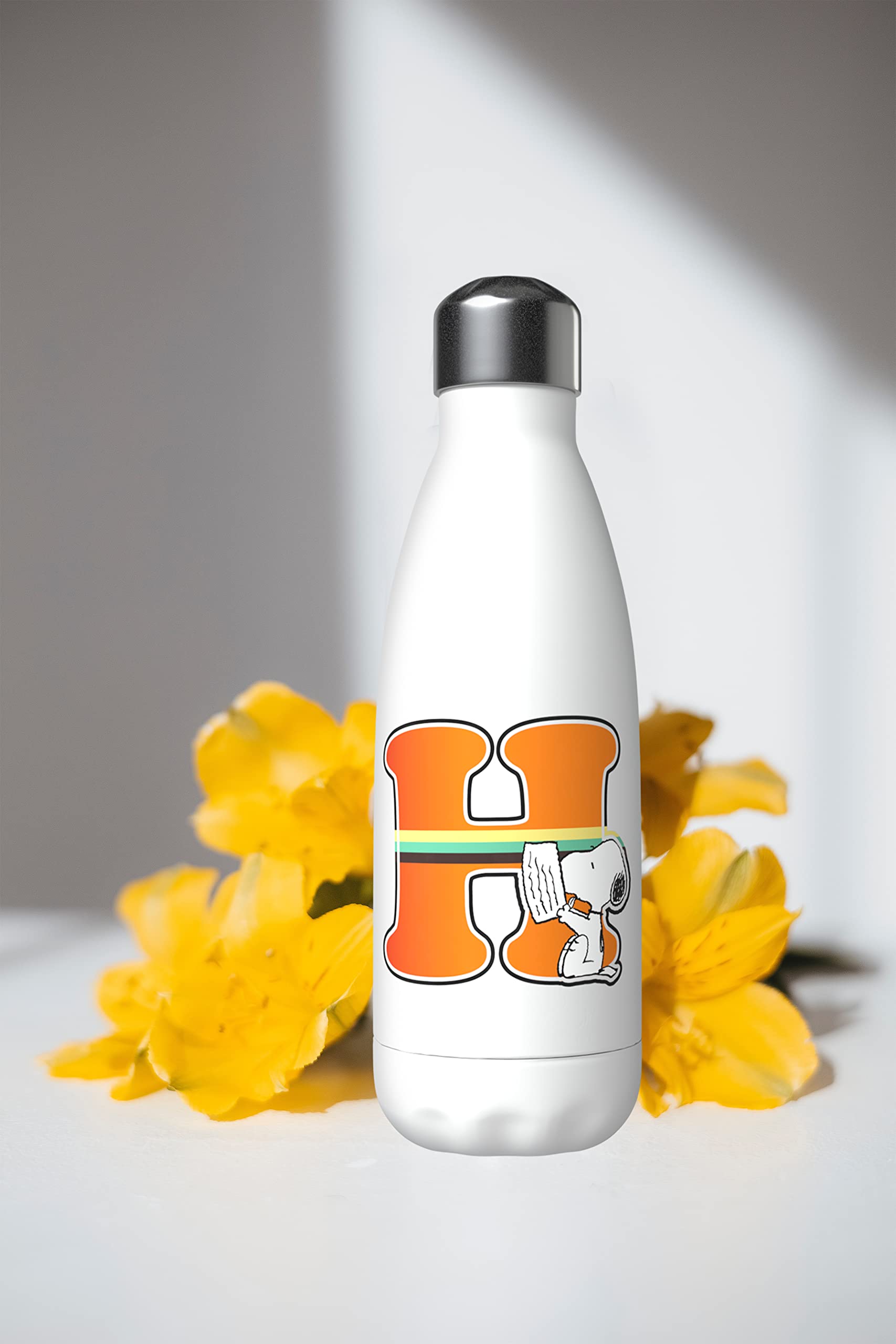 CYP BRANDS Snoopy Bouteille d'eau en acier inoxydable avec fermeture hermétique Lettre Ñ multicolore 550 ml Blanc CYP BRANDS Snoopy Bouteille d'eau en acier inoxydable avec fermeture hermétique Lettre Ñ multicolore 550 ml Blanc
