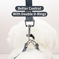 Vista 4 de AIITLE Juego de arnés y correa para perro, arnés sin tirones, de nailon suave y ajustable, chaleco para cachorros para caminar al aire libre