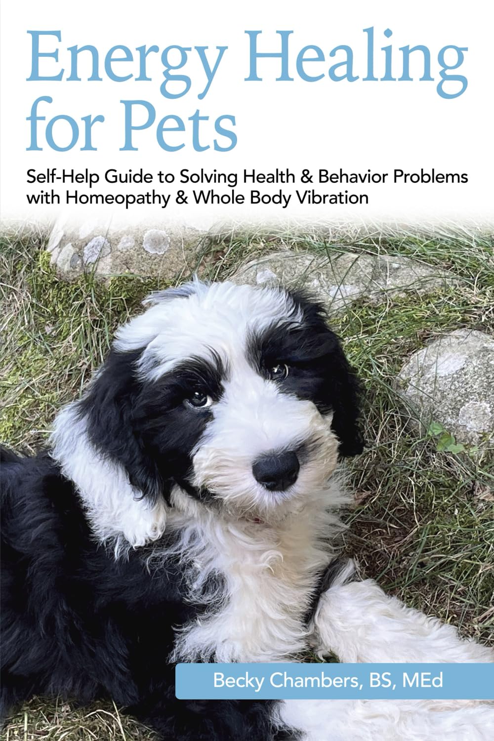 Energy Healing for Pets: Self-Help Guide to Solving Health & Behavior Problems with Homeopathy & Whole Body Vibration