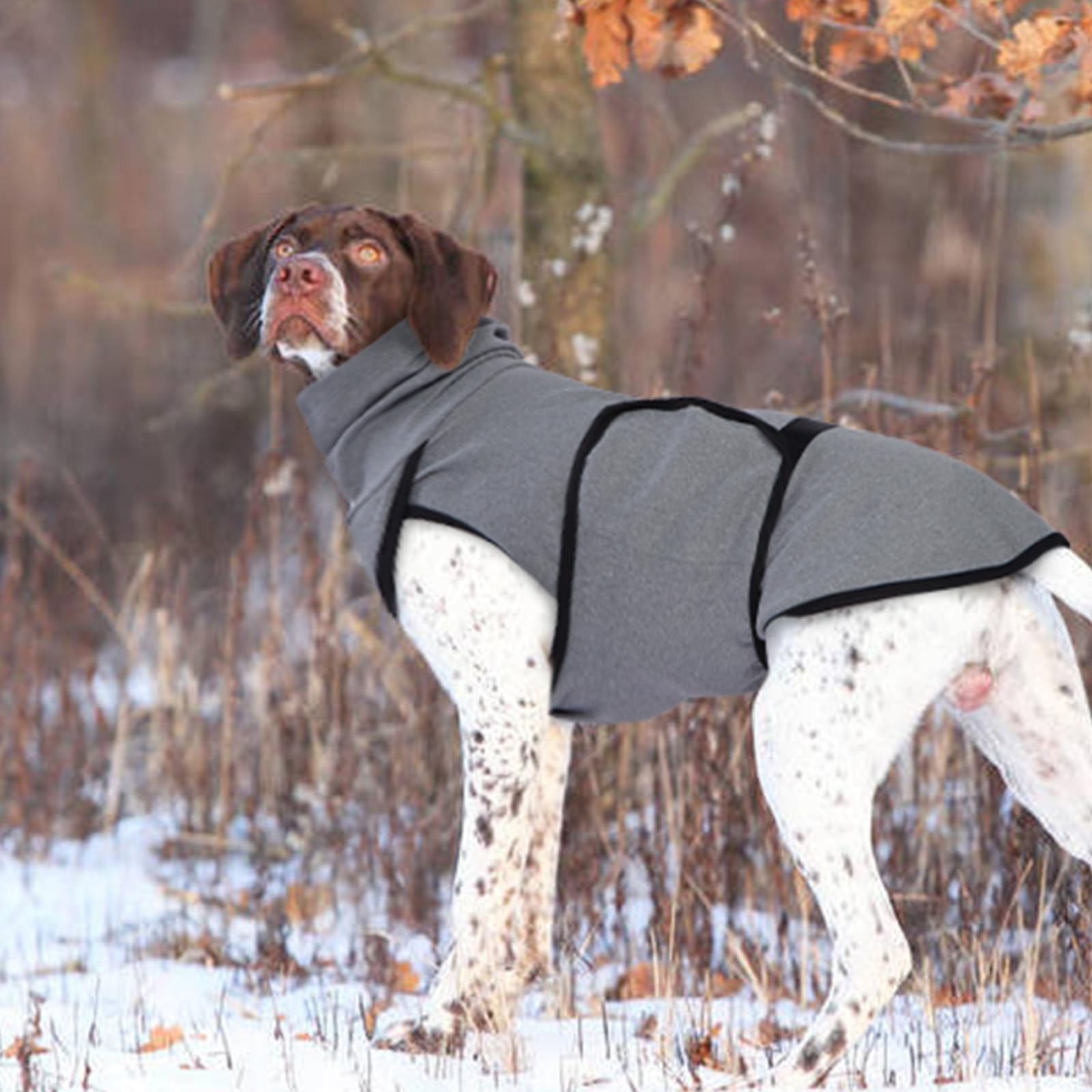 Chaquetas Antiestrés para Perros, Chaleco Relajante para Perros, Chaleco Anti-Ansiedad para Perros con Capucha Calmante, Jersey para Perros Pequeños, Medianos y Grandes, Abrigo Perro