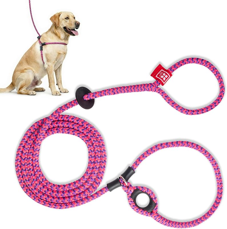 Arnés de correa para perro sin tirones, arnés para perros antitirones, cuerda acolchada de una sola pieza que evita de forma segura escapar y tirar (mediano/grande, rosa/púrpura)