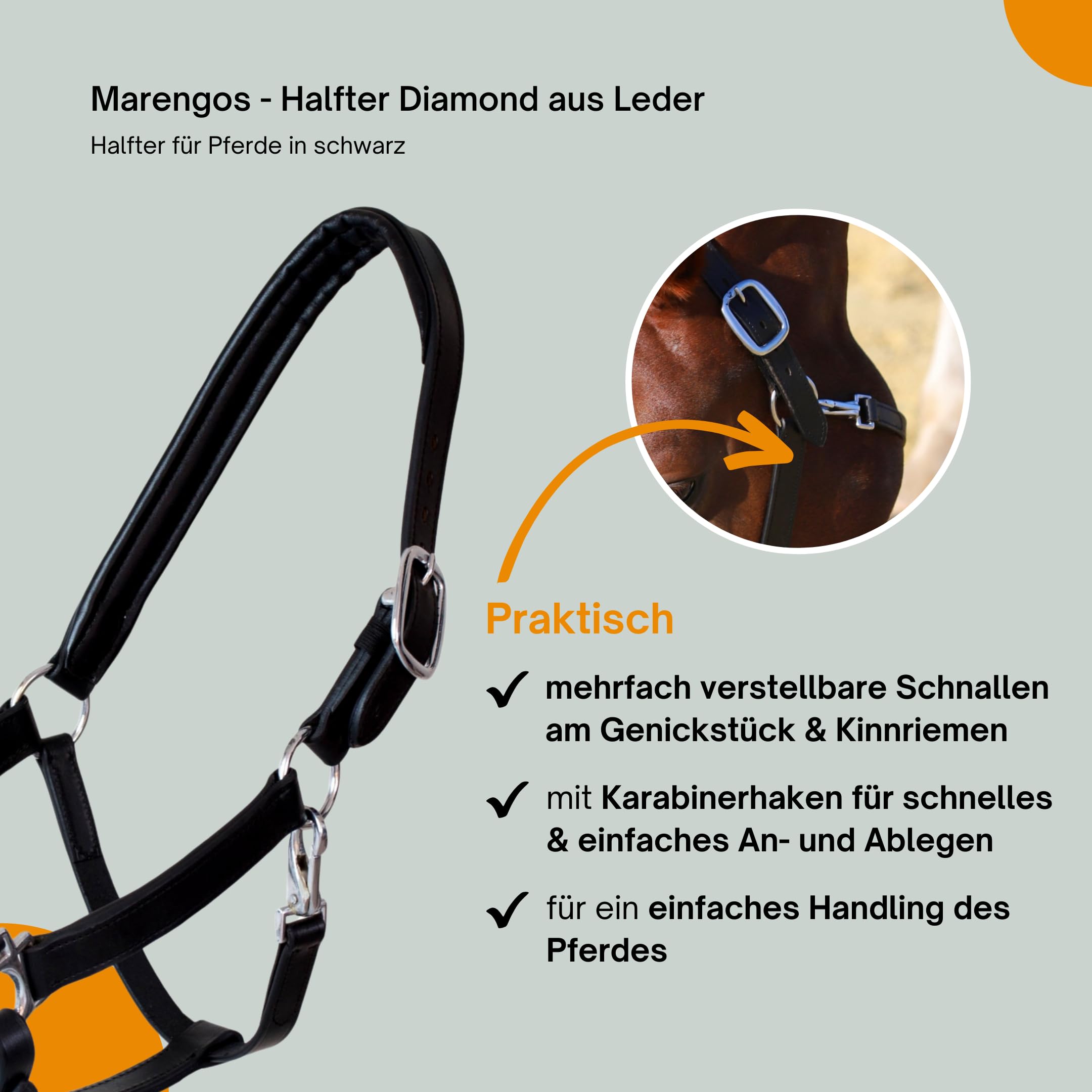 Marengos - Halfter Diamond aus Leder | Halfter für Pferde | Pferdehalfter mit farbig unterlegtem Nasenriemen & Genickstück | edles Lederhalfter | Pferde Zubehör in Schwarz | Warmblut