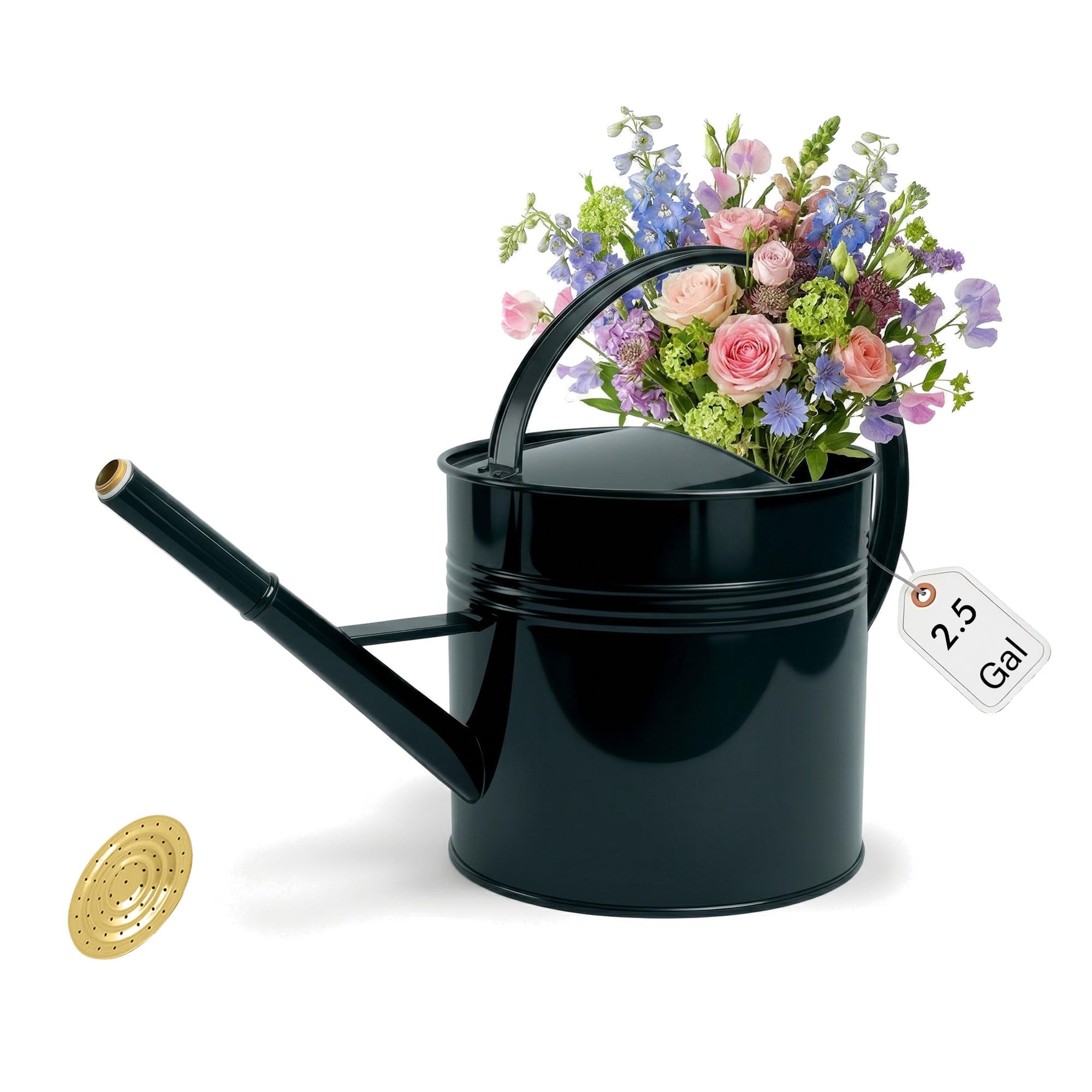 Arrosoir en métal galvanisé de 9,5 l pour plantes d'extérieur avec long bec amovible et poignée argentée