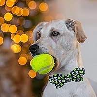 Vista 5 de Elegante Collar de Perro de Elegant Little Tail con Bolas de Verano y Moño - Lindo Collar con Moño para Perros Pequeños, Medianos y Grandes