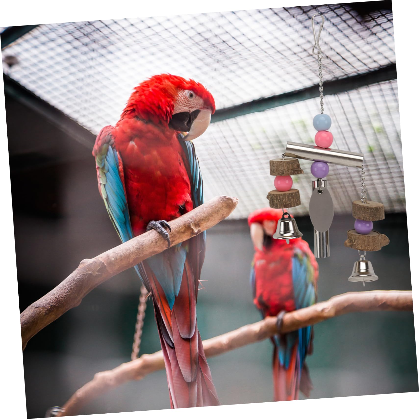 POPETPOP 3st Vogel Glocke Vogelspielzeug Für Sittiche Conure-Spielzeug Wellensittichspielzeug Käfig Hängendes Spielzeug Papagei Mittel Und Groß