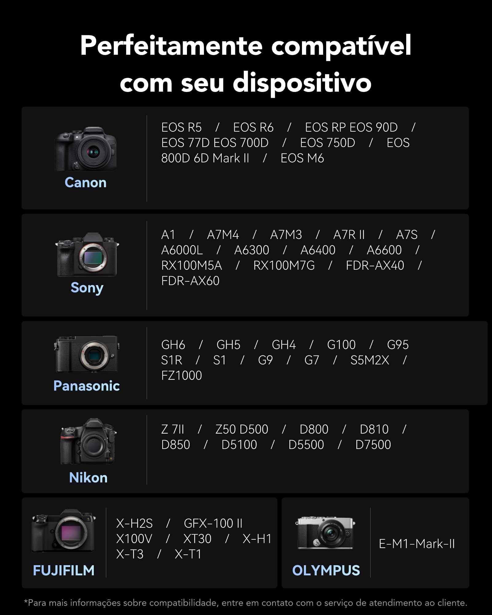 Lexar Scheda di memoria professionale Silver Plus SDXC UHS-I da 256 GB