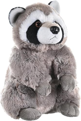Wild Republic Peluche de mapache, animal de peluche, regalo para niños, Cuddlekins de 12 pulgadas