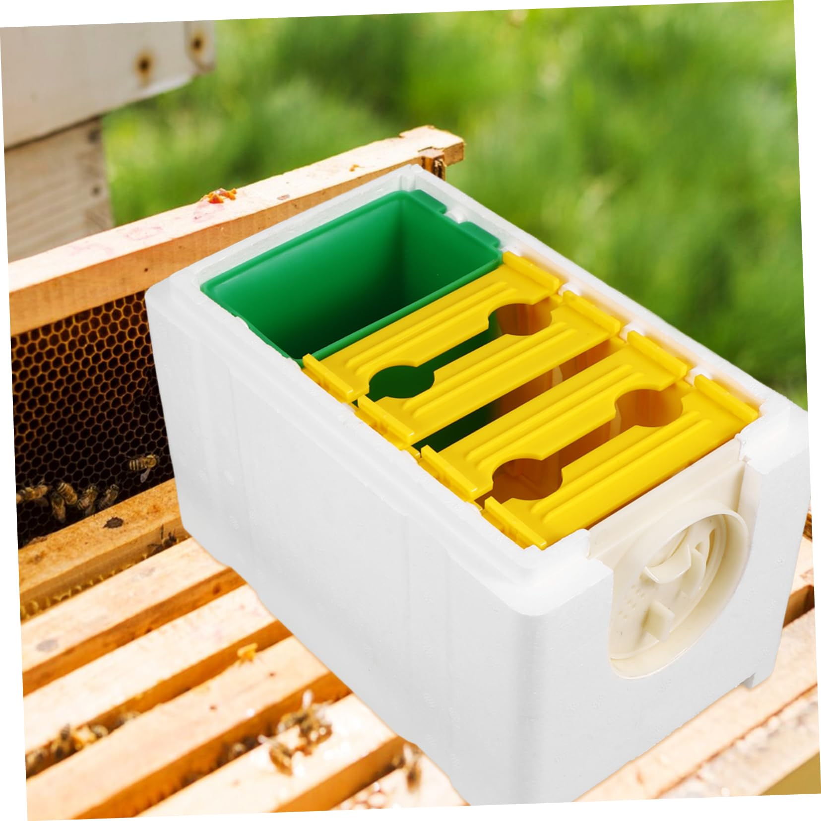 SUPVOX Scatola Per Api 4 Telai in Plastica Bianca Per Apicoltura, Kit Completo Di Alimentazione e Accoppiamento Per Alveari Da Giardino e Balcone, Attrezzatura Stabile Per Apicoltori Principianti