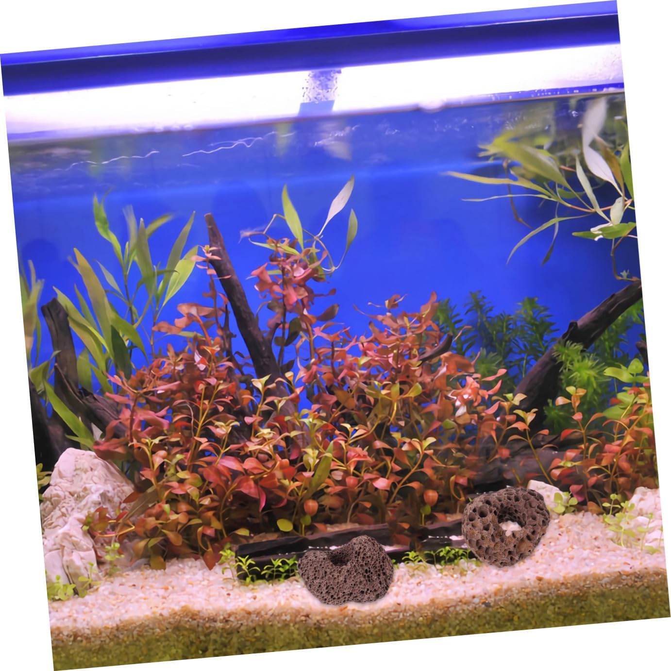 Toddmomy Volcanic Rock Aquarium Decor 10pcs 5-6cm Fish Tank Habitat Stone Cave Natural Fish Shelter for Aquascaping and Planted Aquarium Accessories